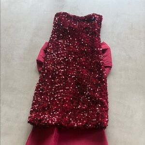 Chic Burgundy Sequin Dress brand new !!